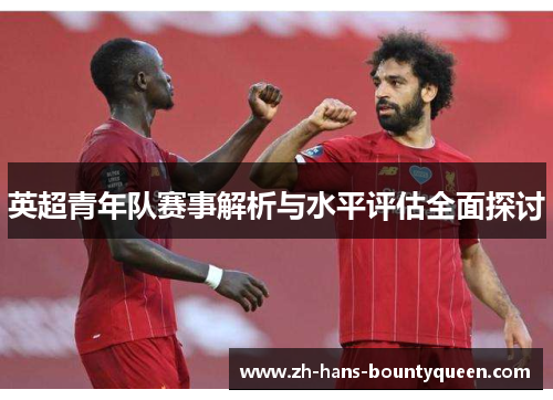 英超青年队赛事解析与水平评估全面探讨