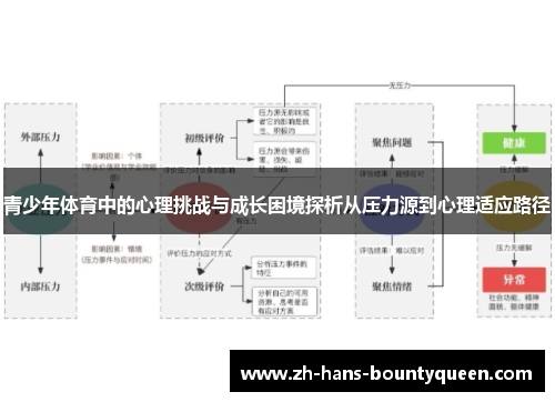 青少年体育中的心理挑战与成长困境探析从压力源到心理适应路径 青少年体育中的心理挑战与成长困境探析从压力源到心理适应路径